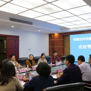 滄州民建考察團(tuán)、南寧市民建調(diào)研組——行來我集團(tuán)參觀考察 ... ...