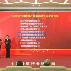 喜報！縱覽線纜集團(tuán)榮膺 “中國線纜產(chǎn)業(yè)最具競爭力企業(yè)100強” ...