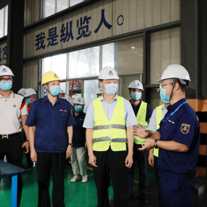 南寧市委常委、常務副市長陳竑率隊到我司考察指導