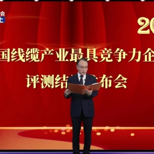 賡續(xù)卓越  勇毅前行——縱覽線纜集團(tuán)再次榮獲2022中國線纜行業(yè)最具競(jìng)爭(zhēng)力100強(qiáng) ...