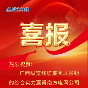 縱覽線纜集團(tuán)斬獲南方電網(wǎng)“億元標(biāo)”——以優(yōu)異成績慶賀2023全國兩會勝利召開！ ...